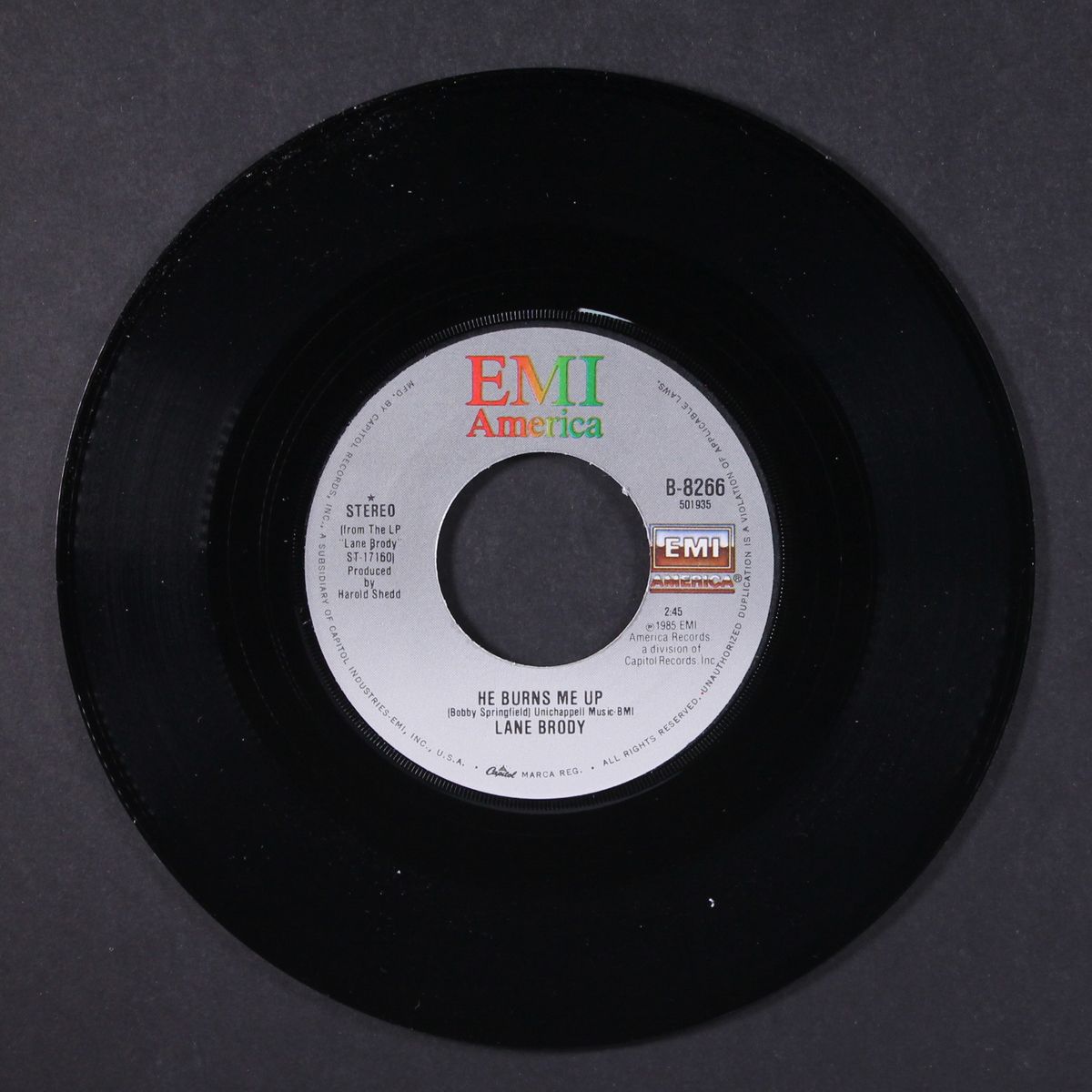 he burns me up / same by LANE BRODY