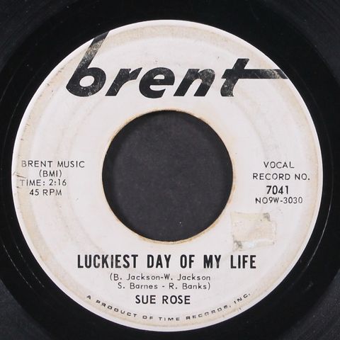 SUE ROSE