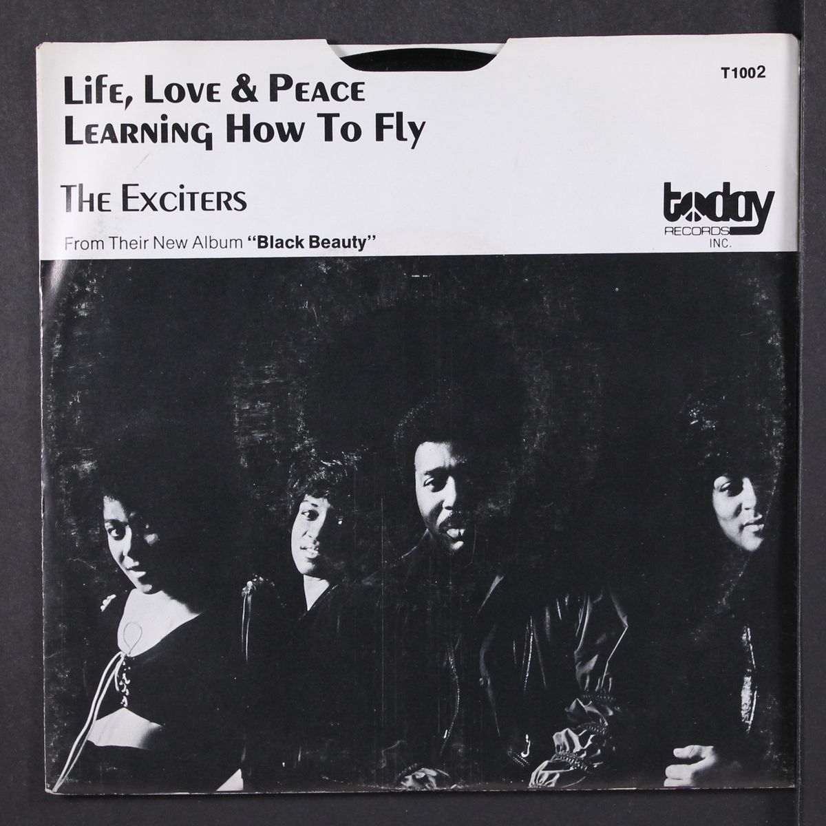 life, love and peace / learning how to fly by EXCITERS
