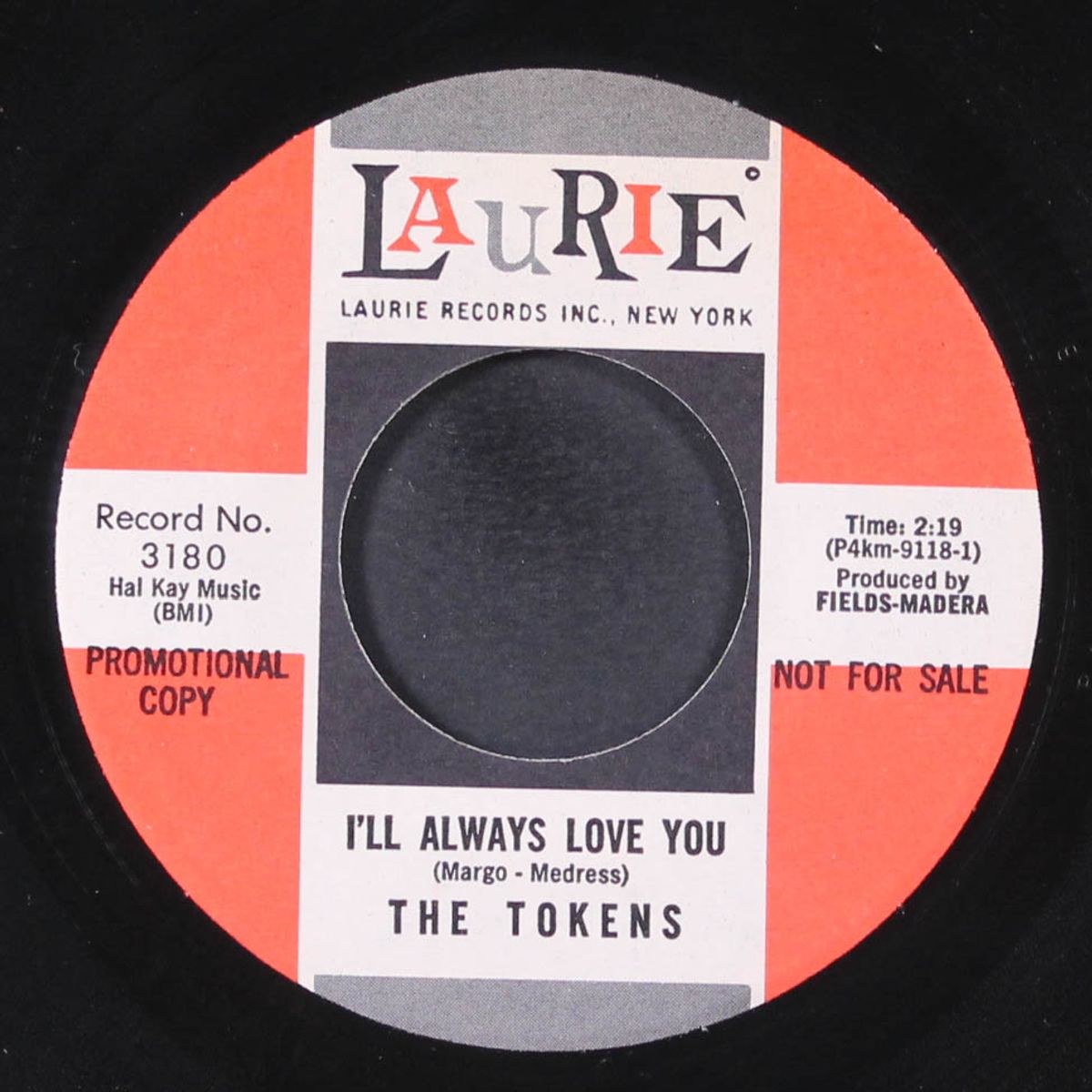 i'll always love you / please write by TOKENS