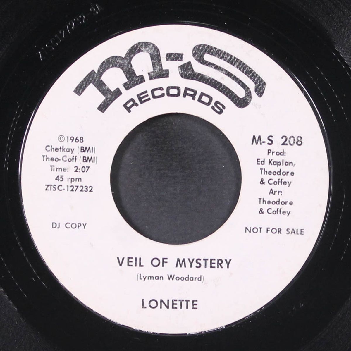 veil of mystery / stop by LONETTE