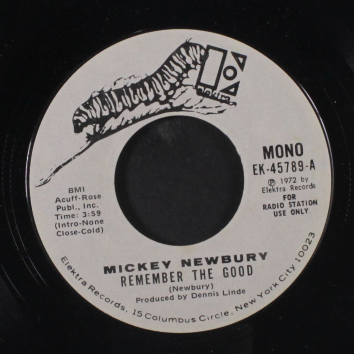 remember the good / mono by MICKEY NEWBURY