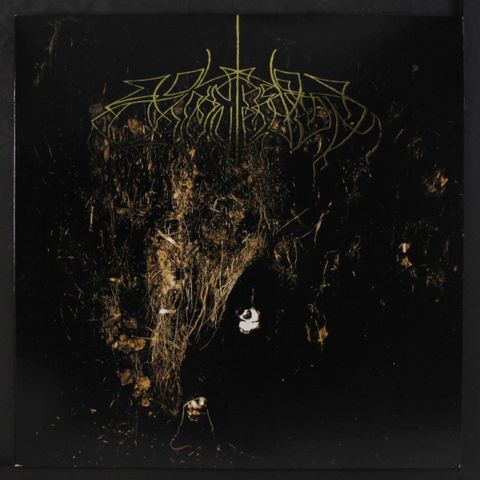 WOLVES IN THE THRONE ROOM