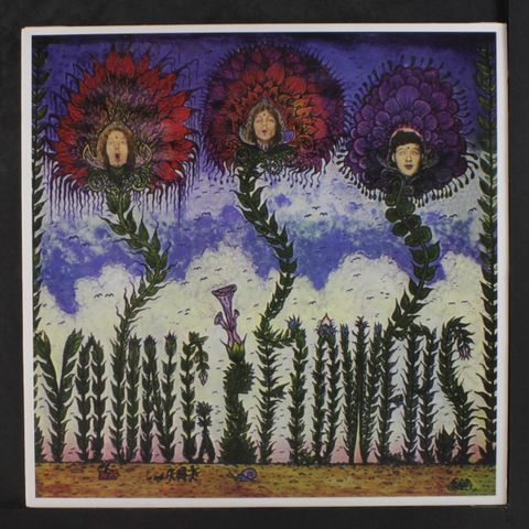 YOUNG FLOWERS