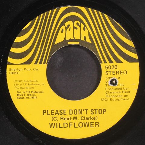 WILDFLOWER