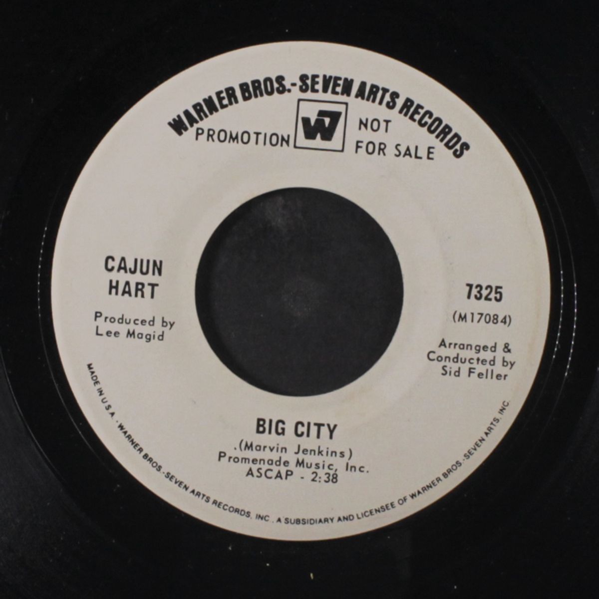 big city / the whole world is watching by CAJUN HART