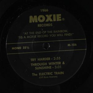 ELECTRIC TRAIN