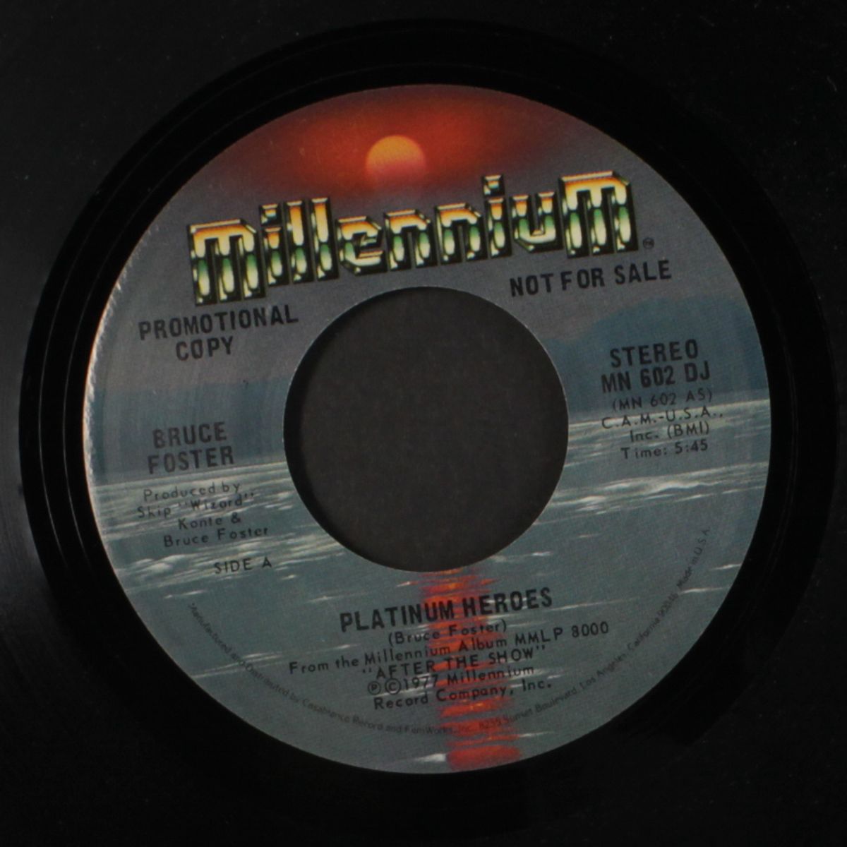 platinum heroes / same by BRUCE FOSTER
