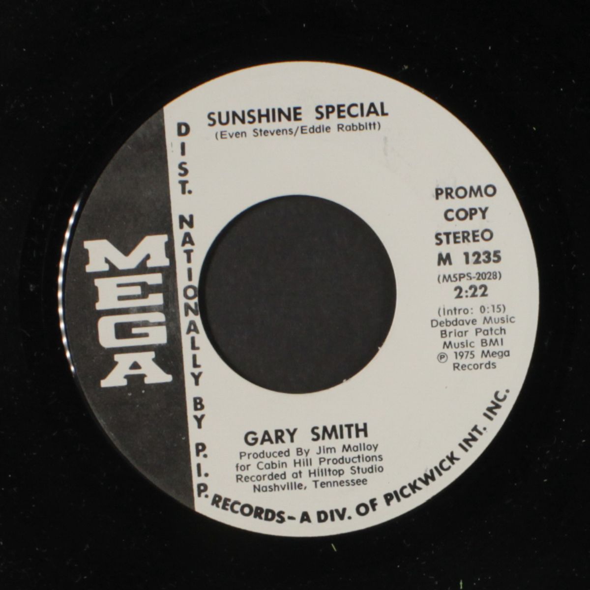 sunshine special / mono by GARY SMITH