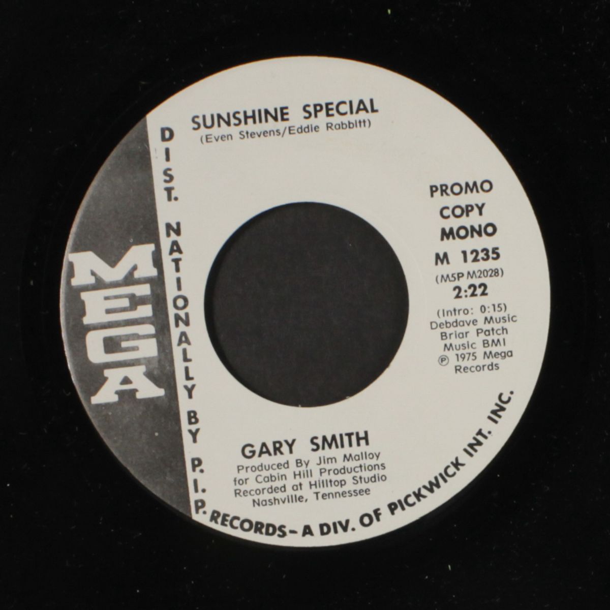 sunshine special / mono by GARY SMITH