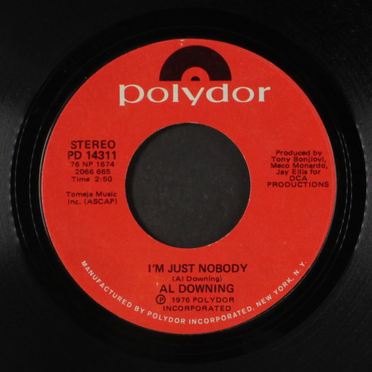i'm just nobody / i love to love by AL DOWNING