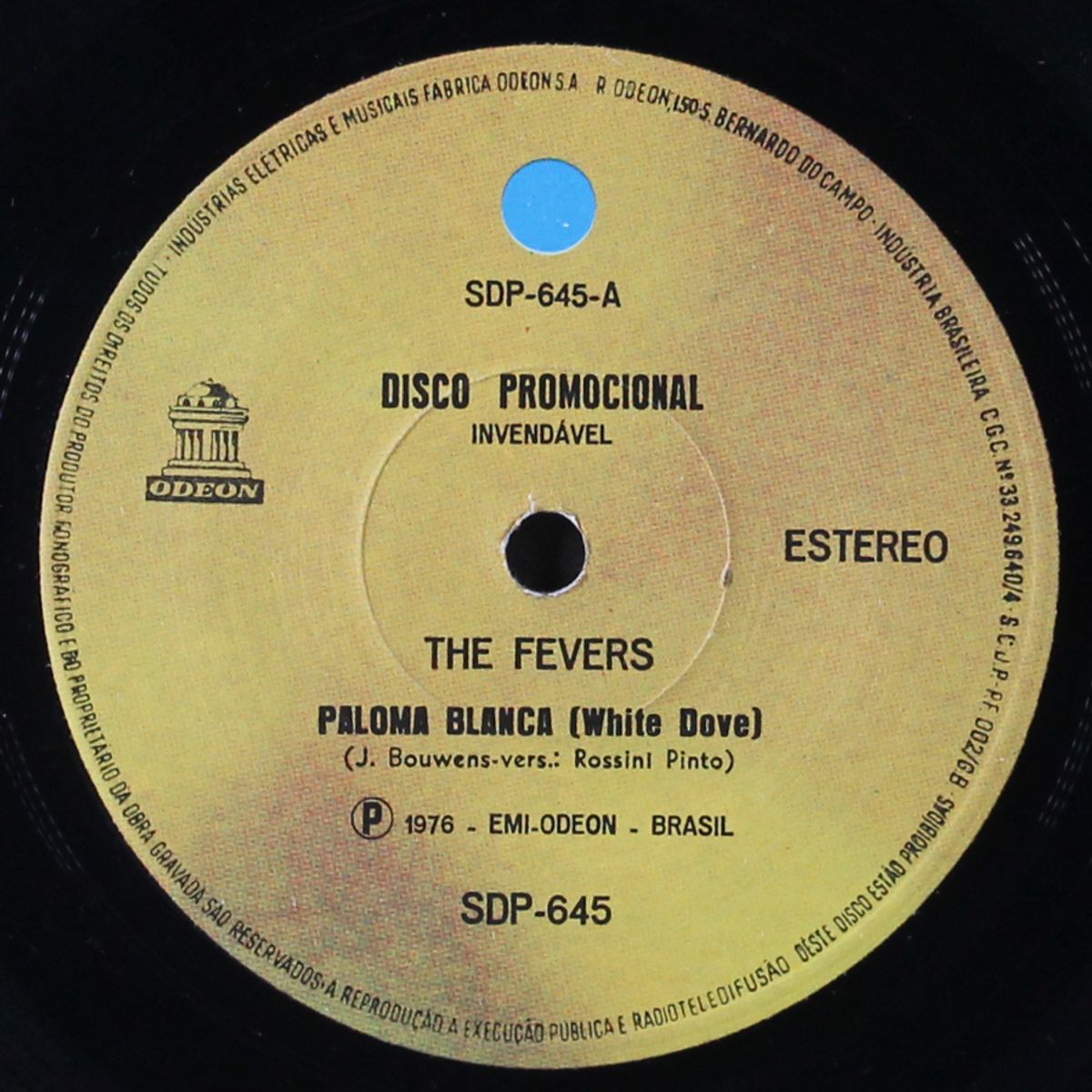 paloma blanca by FEVERS