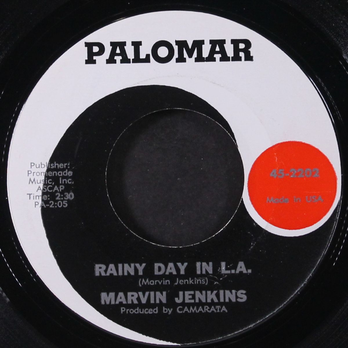 big city / rainy day in l.a. by MARVIN JENKINS