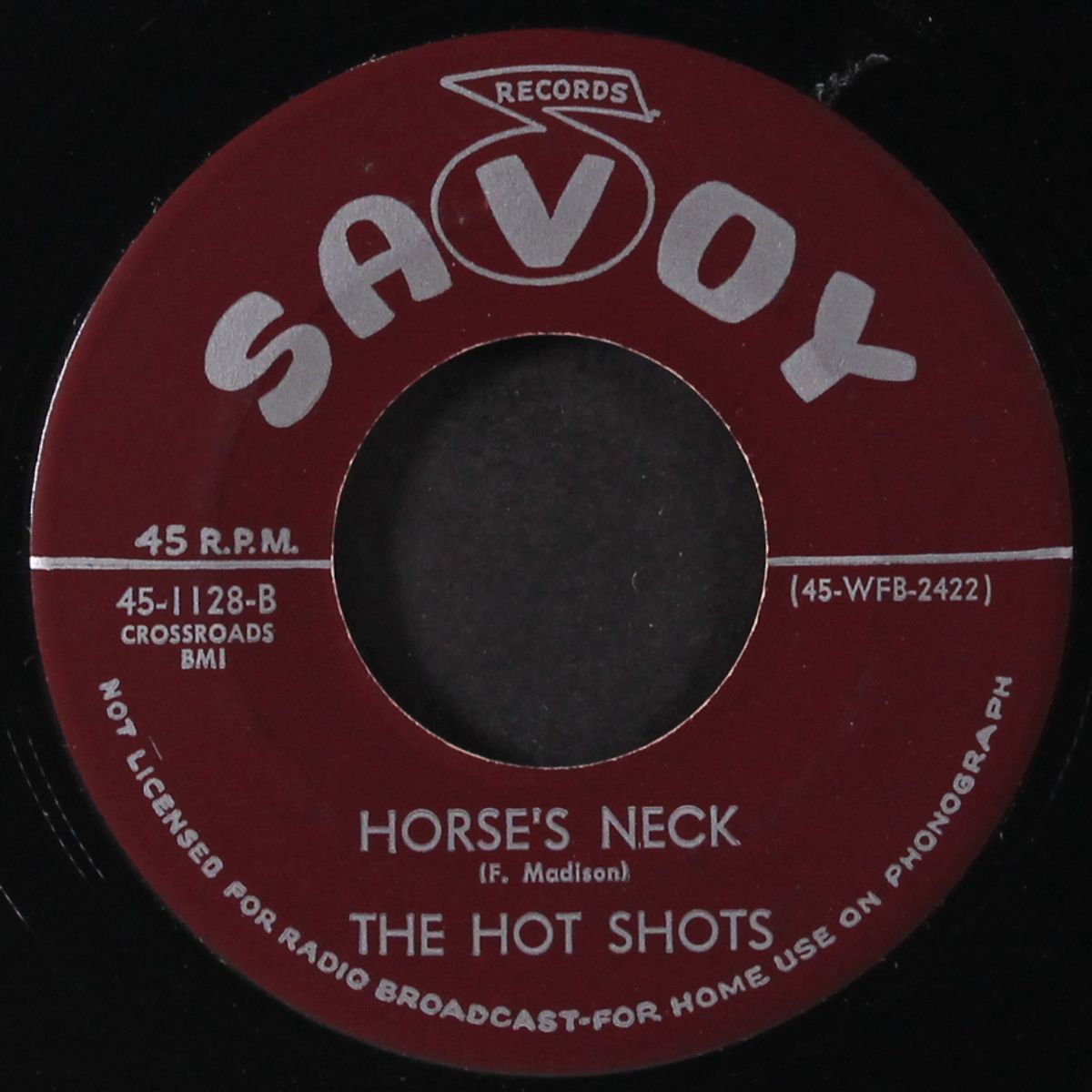 blue hours / horses neck by HOT SHOTS