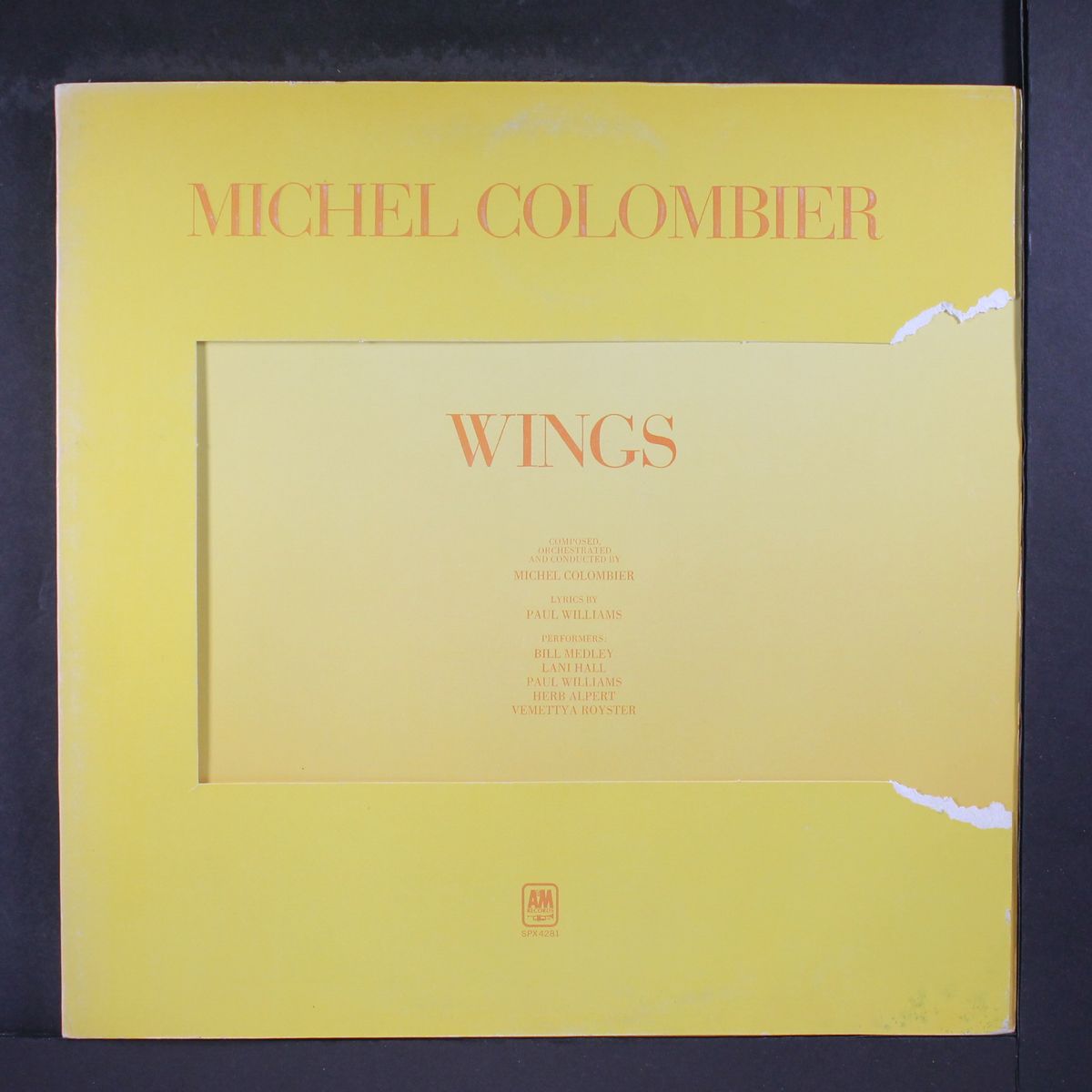 wings by MICHEL COLOMBIER