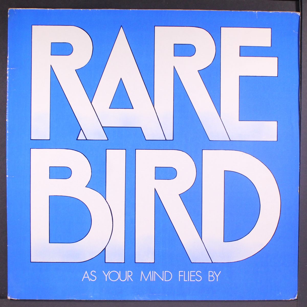 as your mind flies by by RARE BIRD