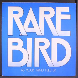 RARE BIRD