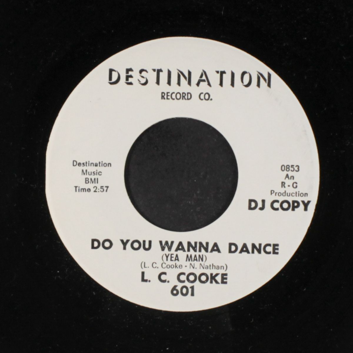 do you wanna dance / i'll wait for you by L. C. COOKE
