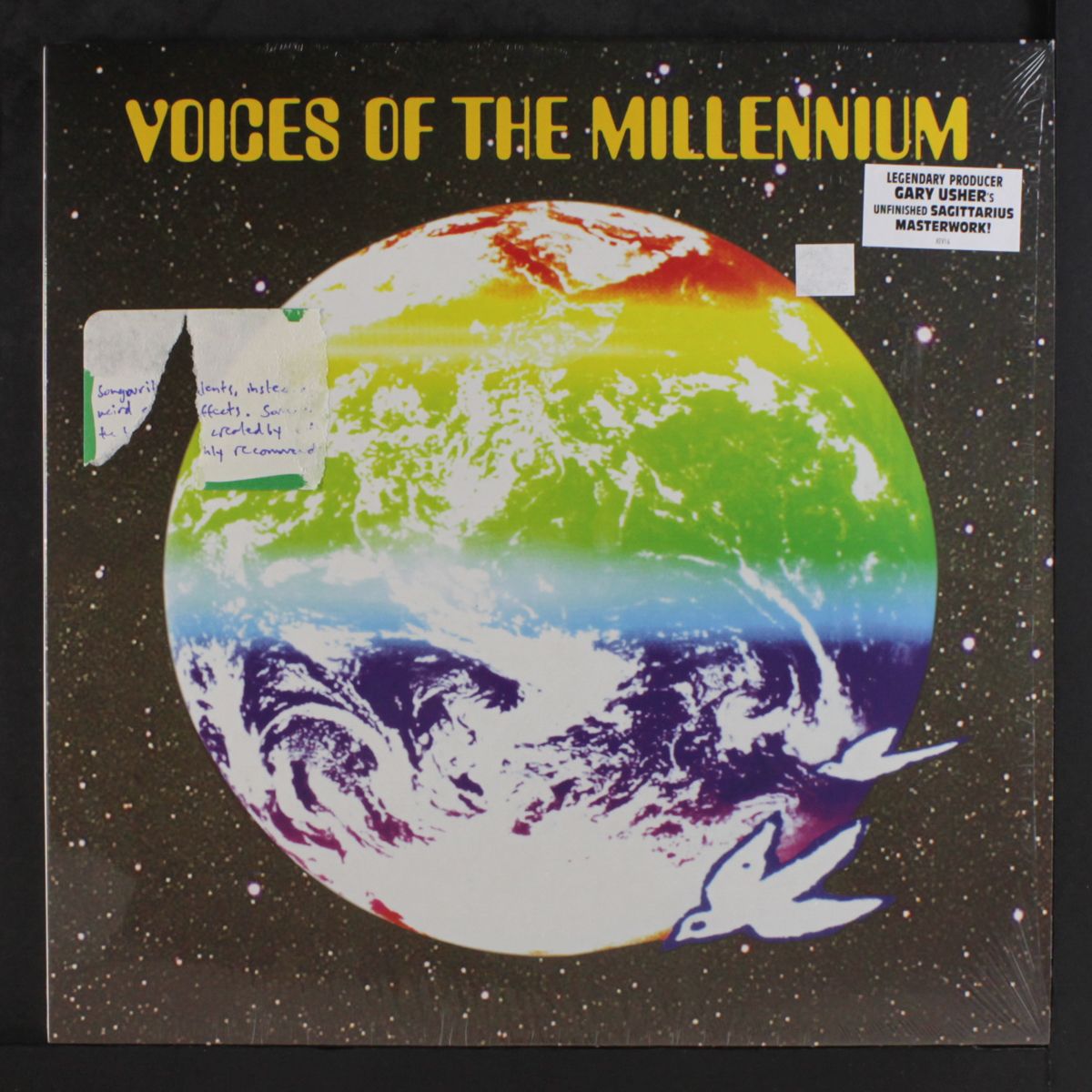 voices of the millennium by VOICES OF THE MILLENNIUM