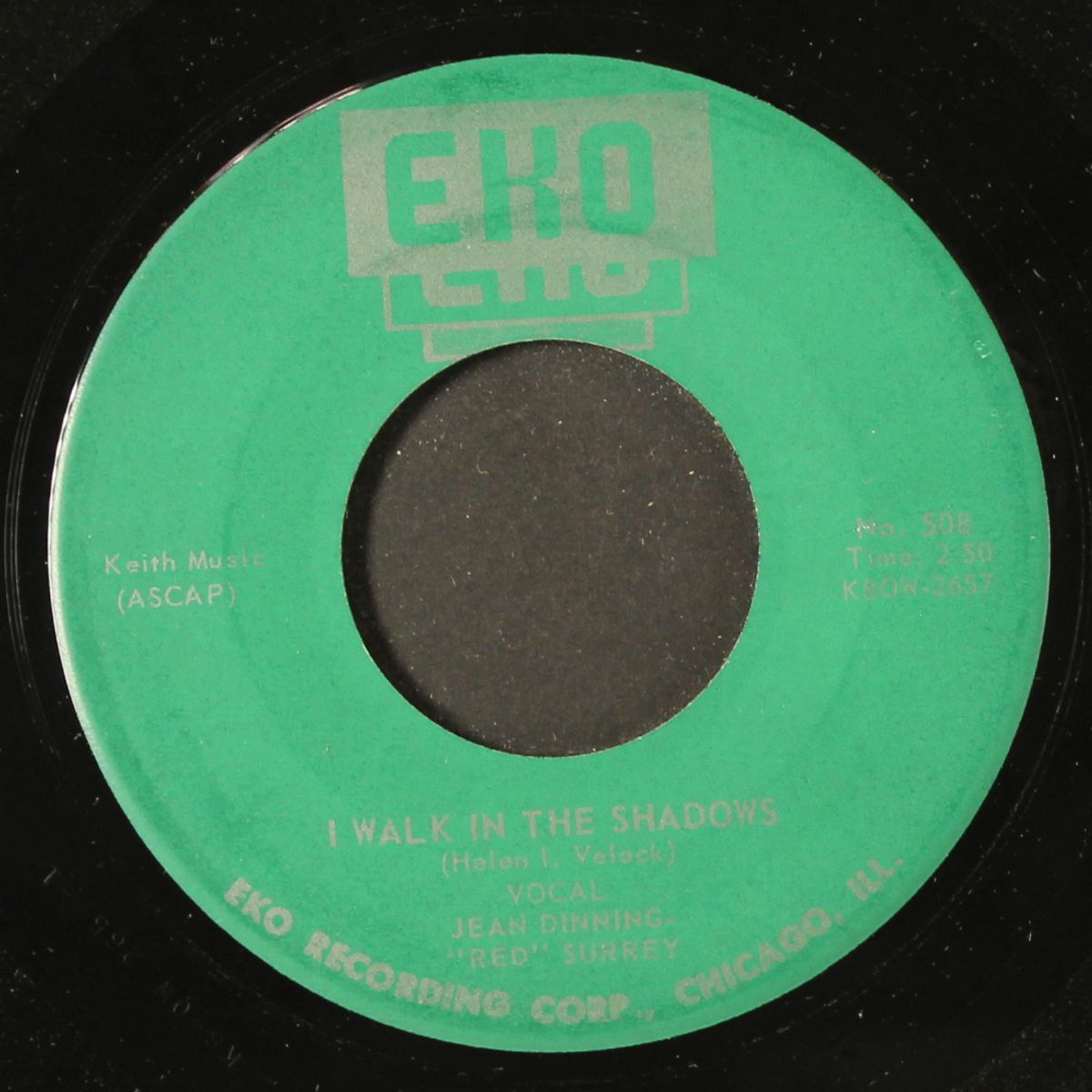 i walk in the shadows by JEAN DINNING