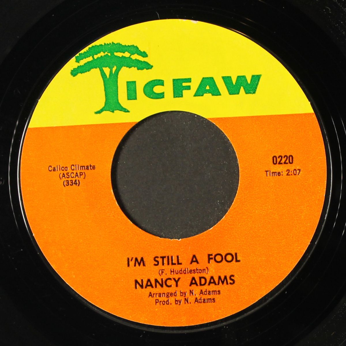i don't want no more / i'm still a fool by NANCY ADAMS
