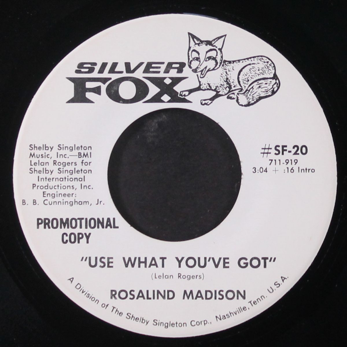 fancy / use what you've got by ROSALIND MADISON