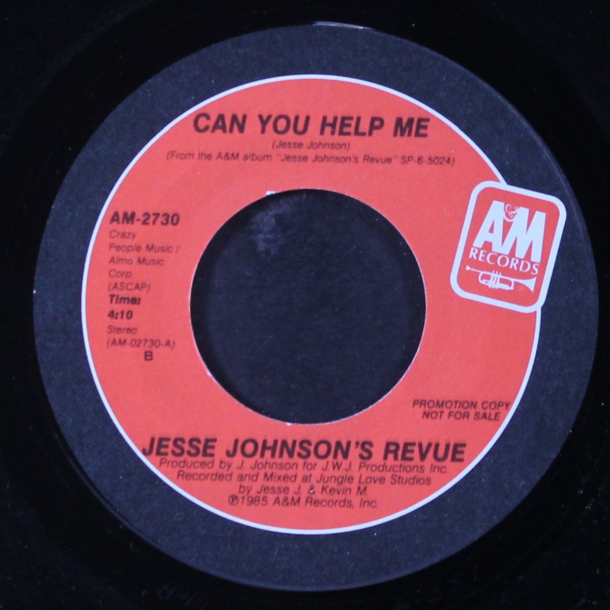 can you help me by JESSE JOHNSON'S REVUE