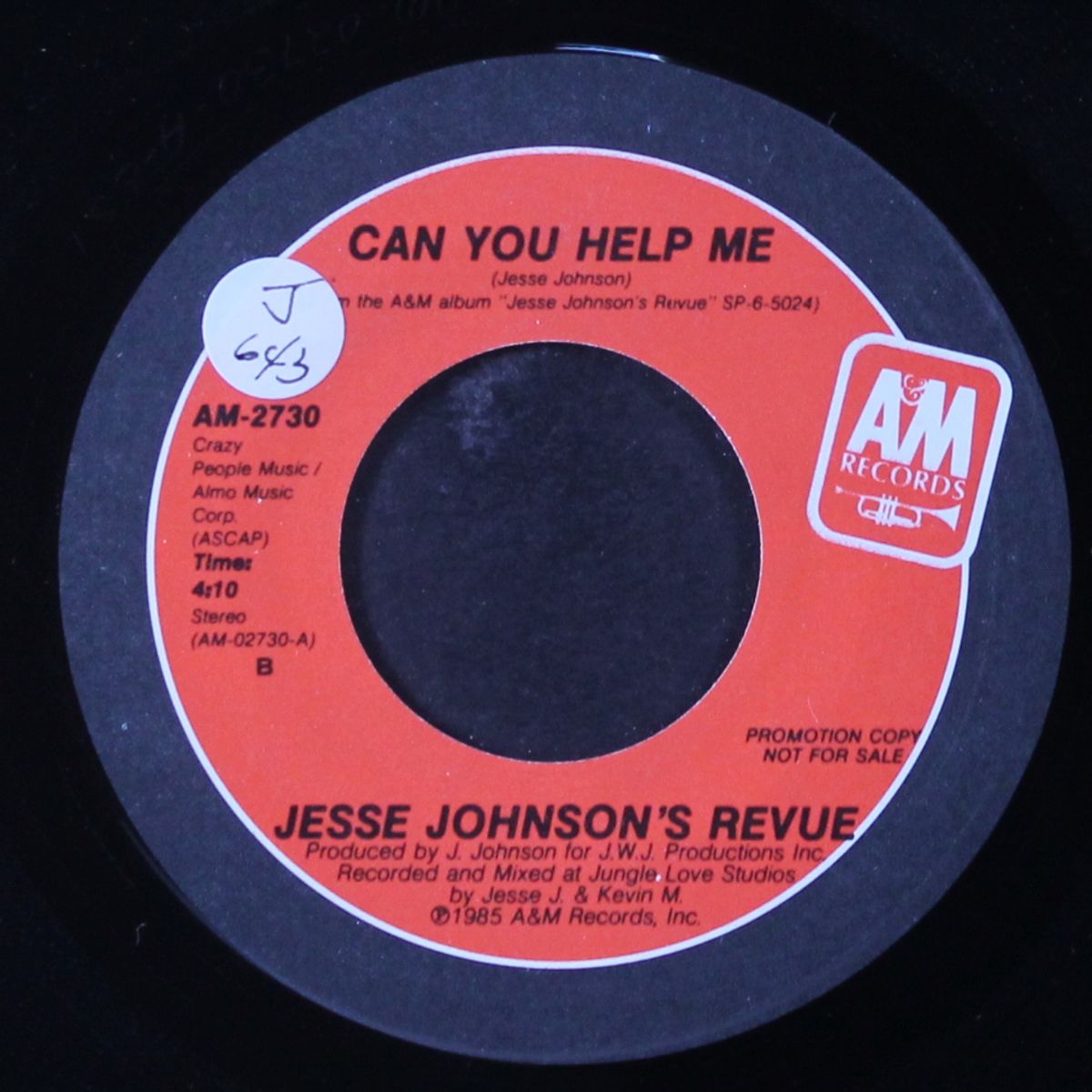 can you help me by JESSE JOHNSON'S REVUE