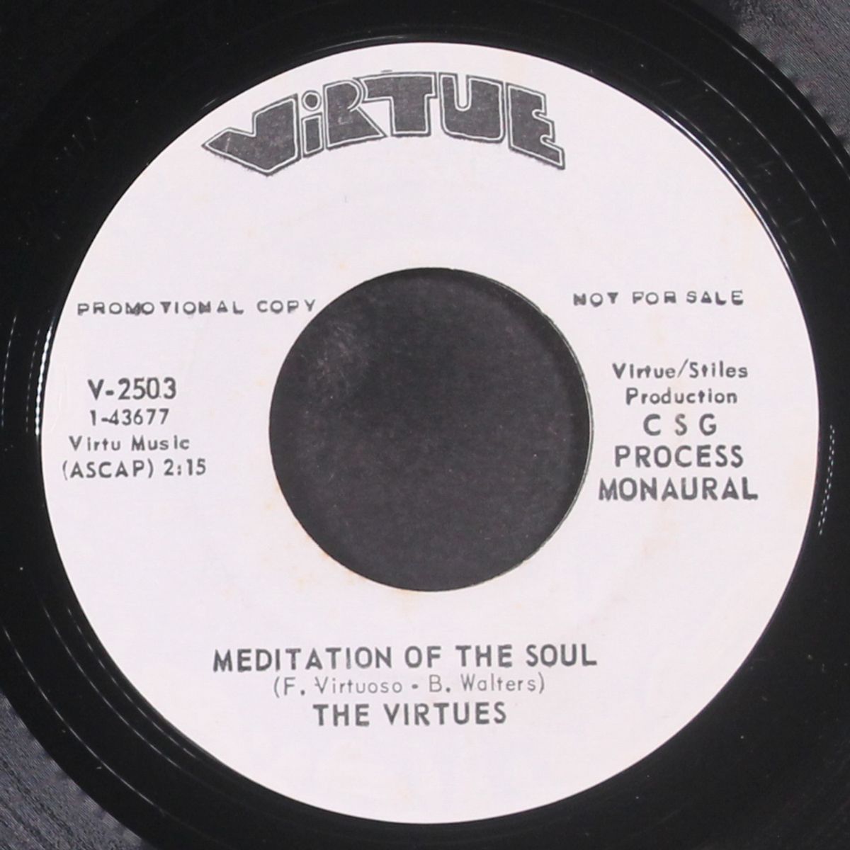 meditation of the soul / guitar on the wild side by VIRTUES