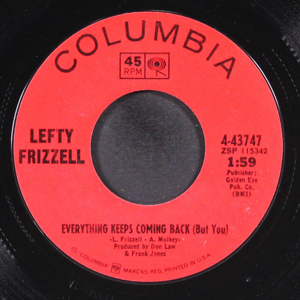 i just couldn't see the forest by LEFTY FRIZZELL