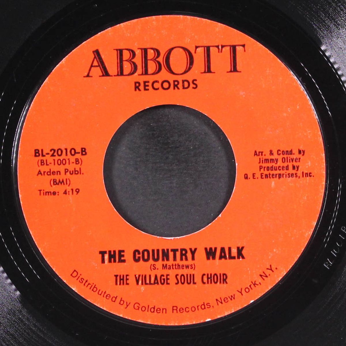the cat walk / country walk by VILLAGE SOUL CHOIR