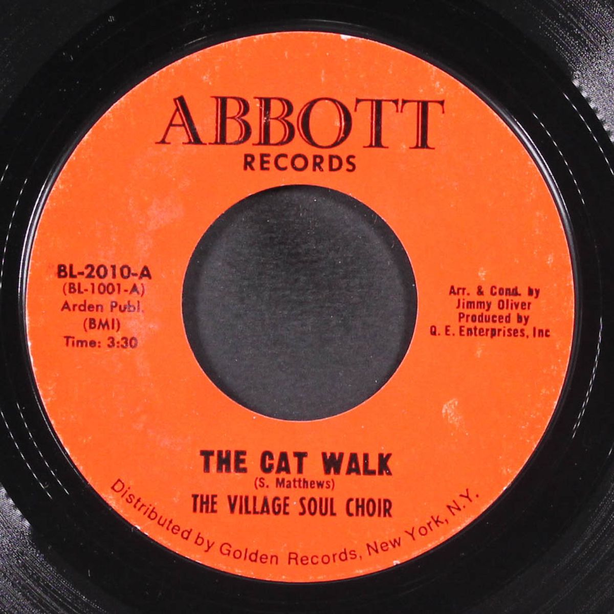 the cat walk / country walk by VILLAGE SOUL CHOIR