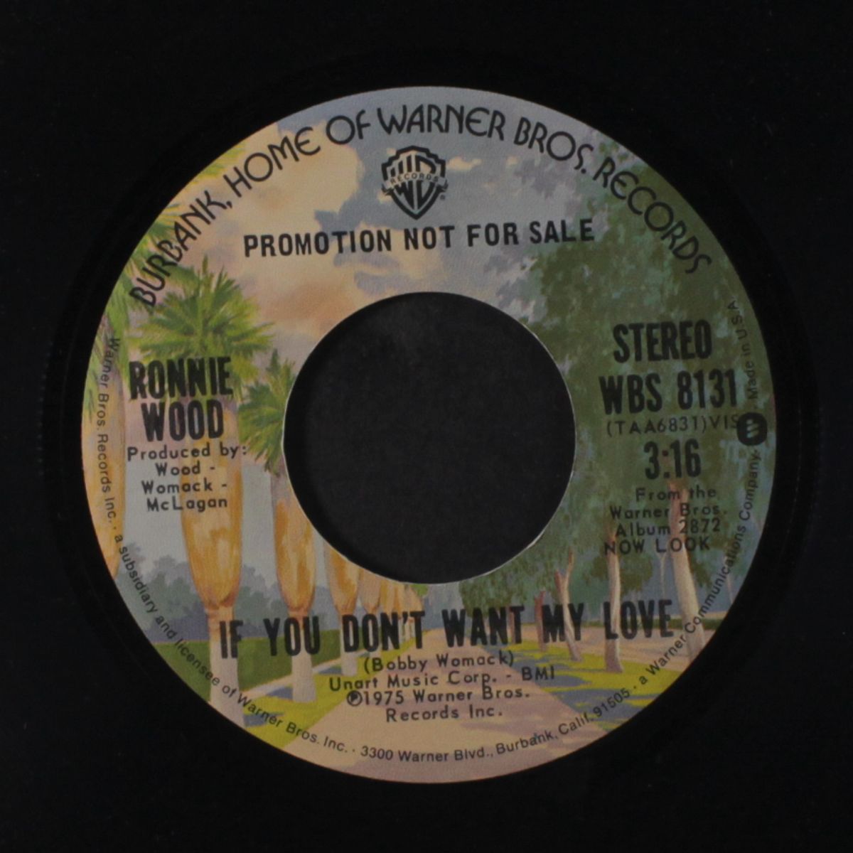 if you don't want my love / mono by RONNIE WOOD