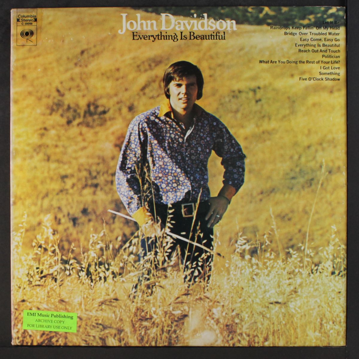 everything is beautiful by JOHN DAVIDSON