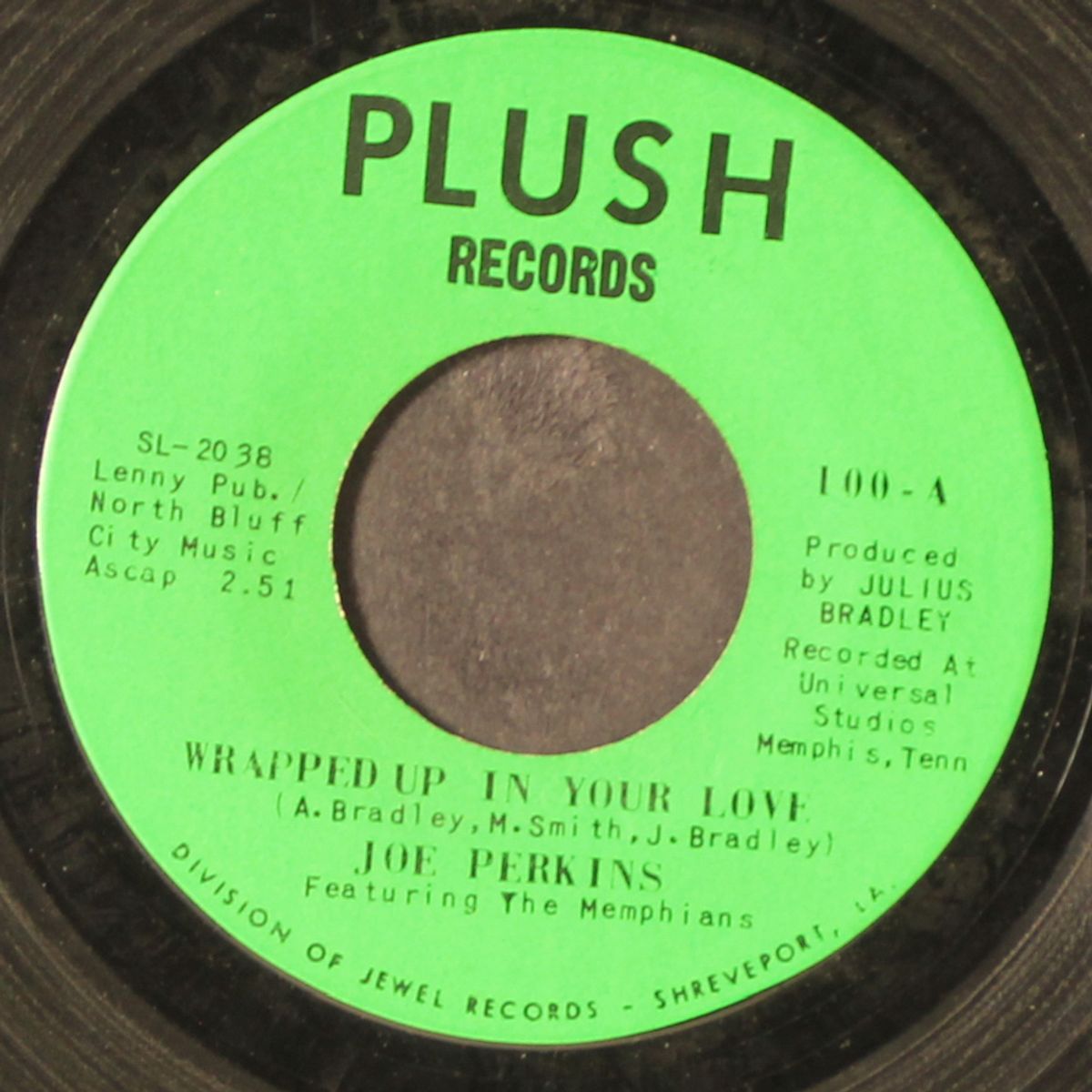 wrapped up in your love / looking for a woman by JOE PERKINS