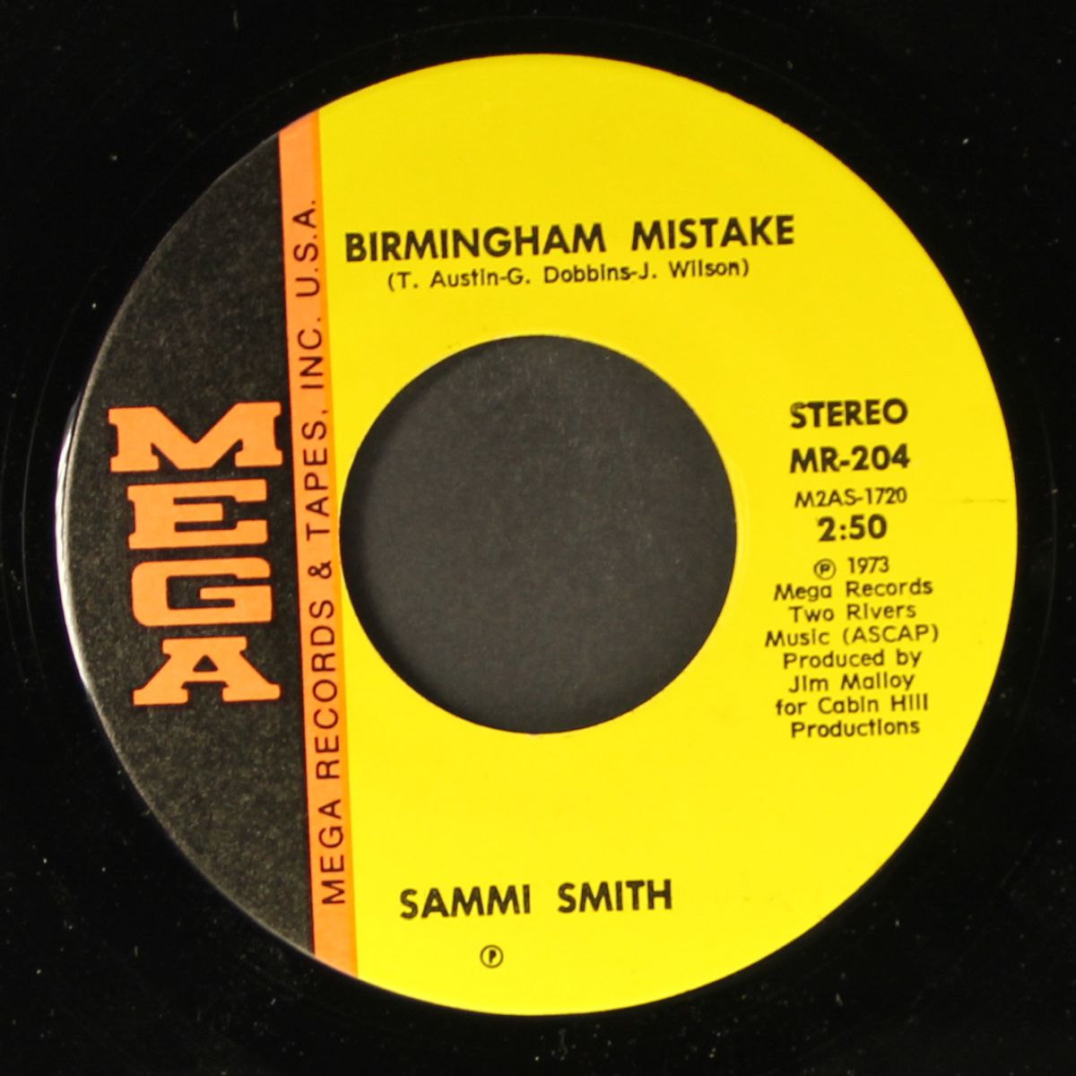 the rainbow in daddy's eyes / birmingham mistake by SAMMI SMITH