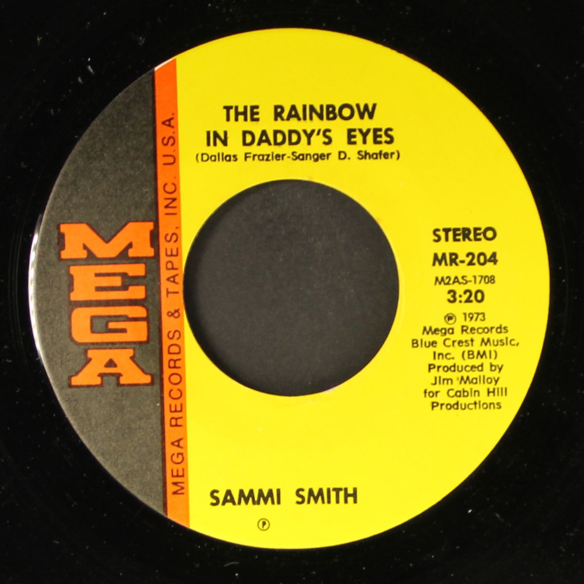 the rainbow in daddy's eyes / birmingham mistake by SAMMI SMITH