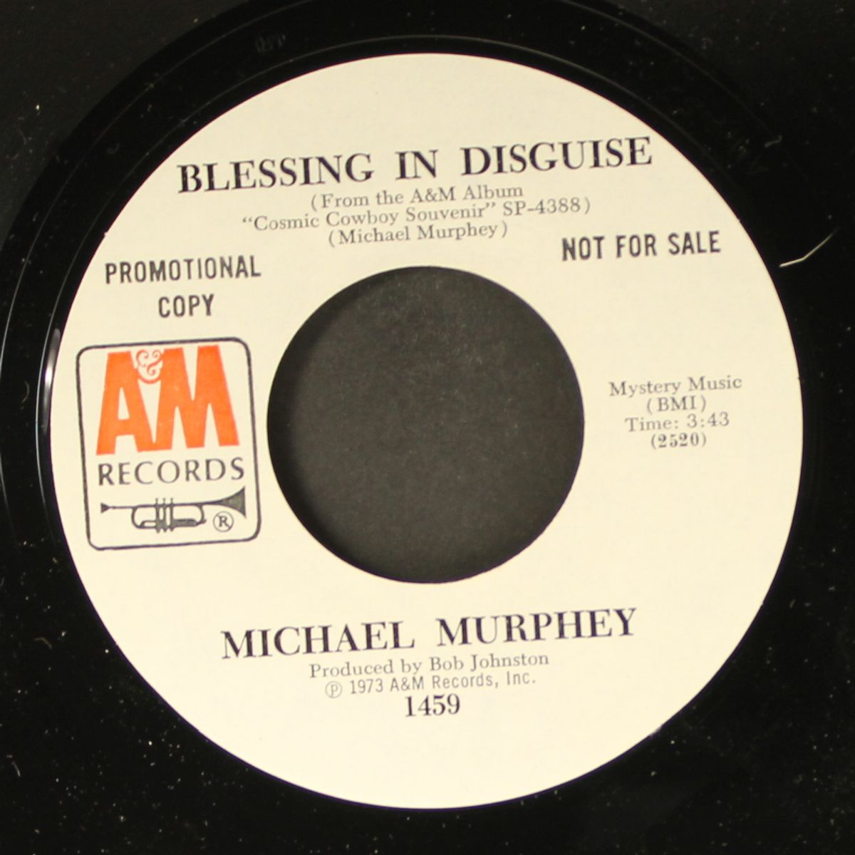 calico silver / blessing in disguise by MICHAEL MURPHEY