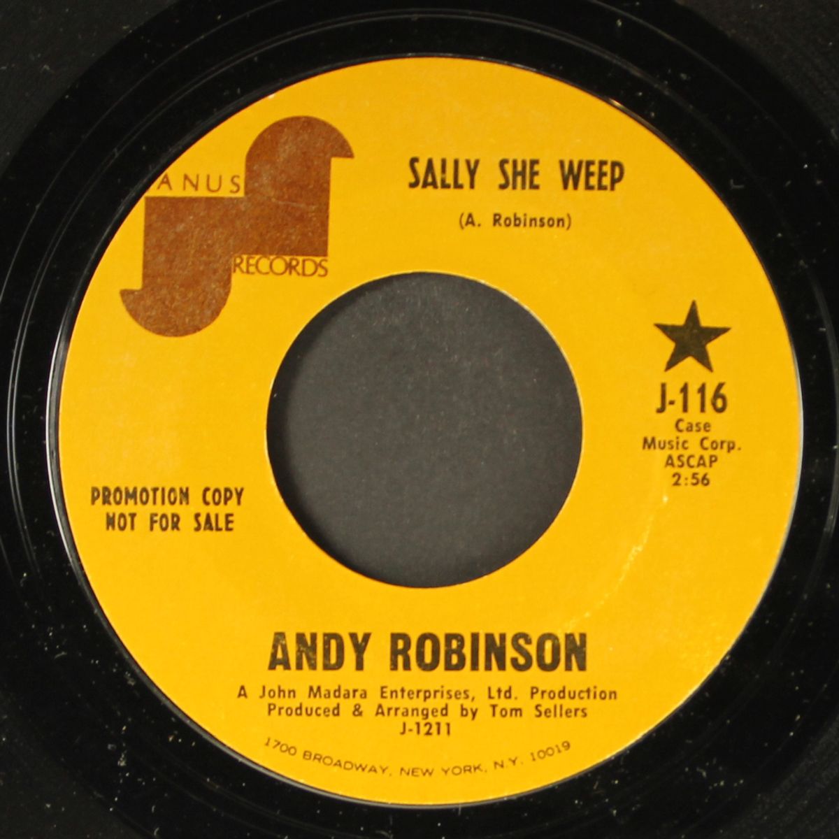 sally she weep / uptight saturday nite by ANDY ROBINSON