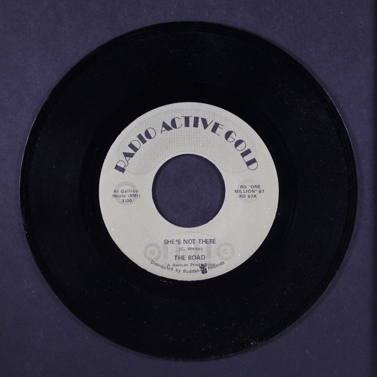 she's not there / a bummer by ROAD