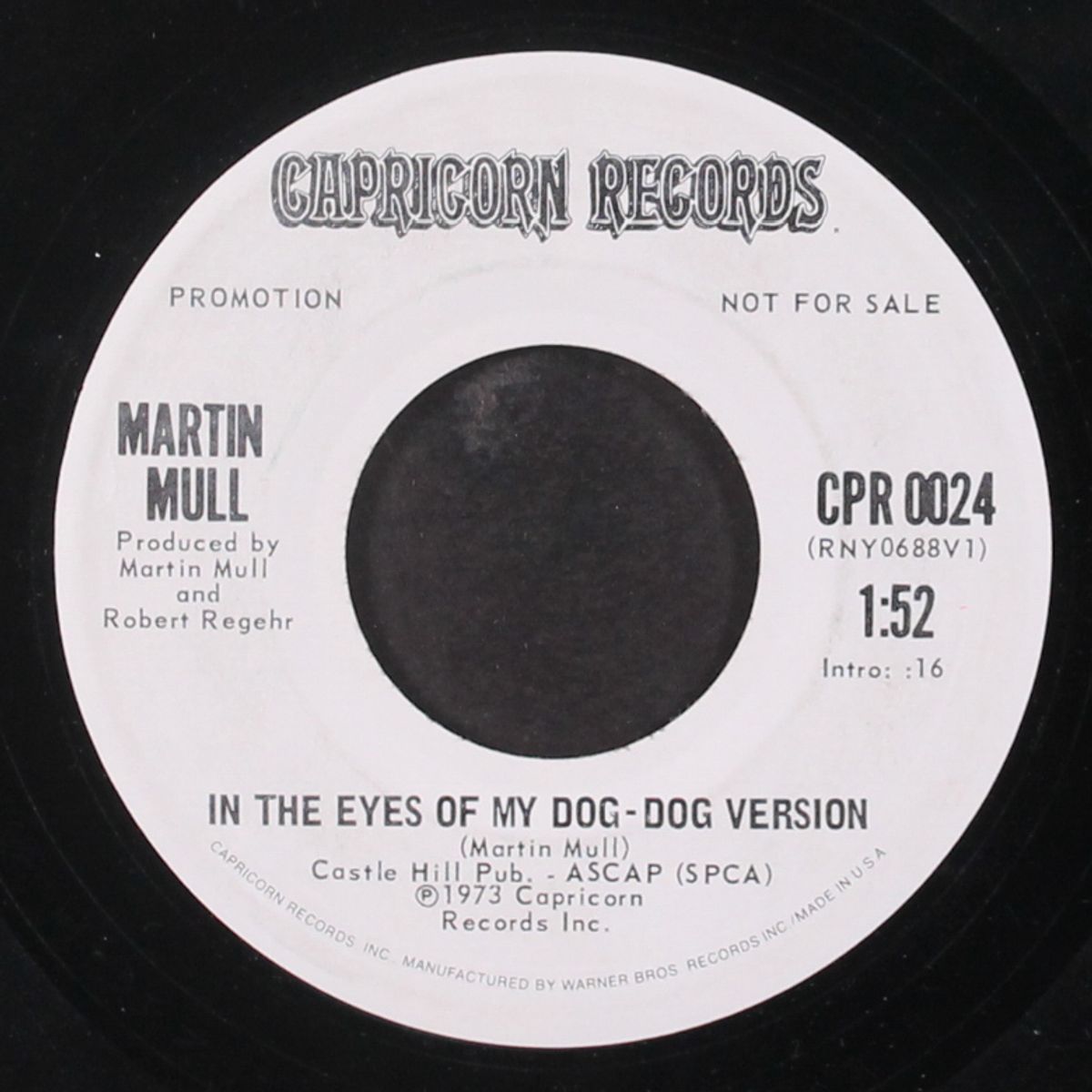 in the eyes of my dog by MARTIN MULL