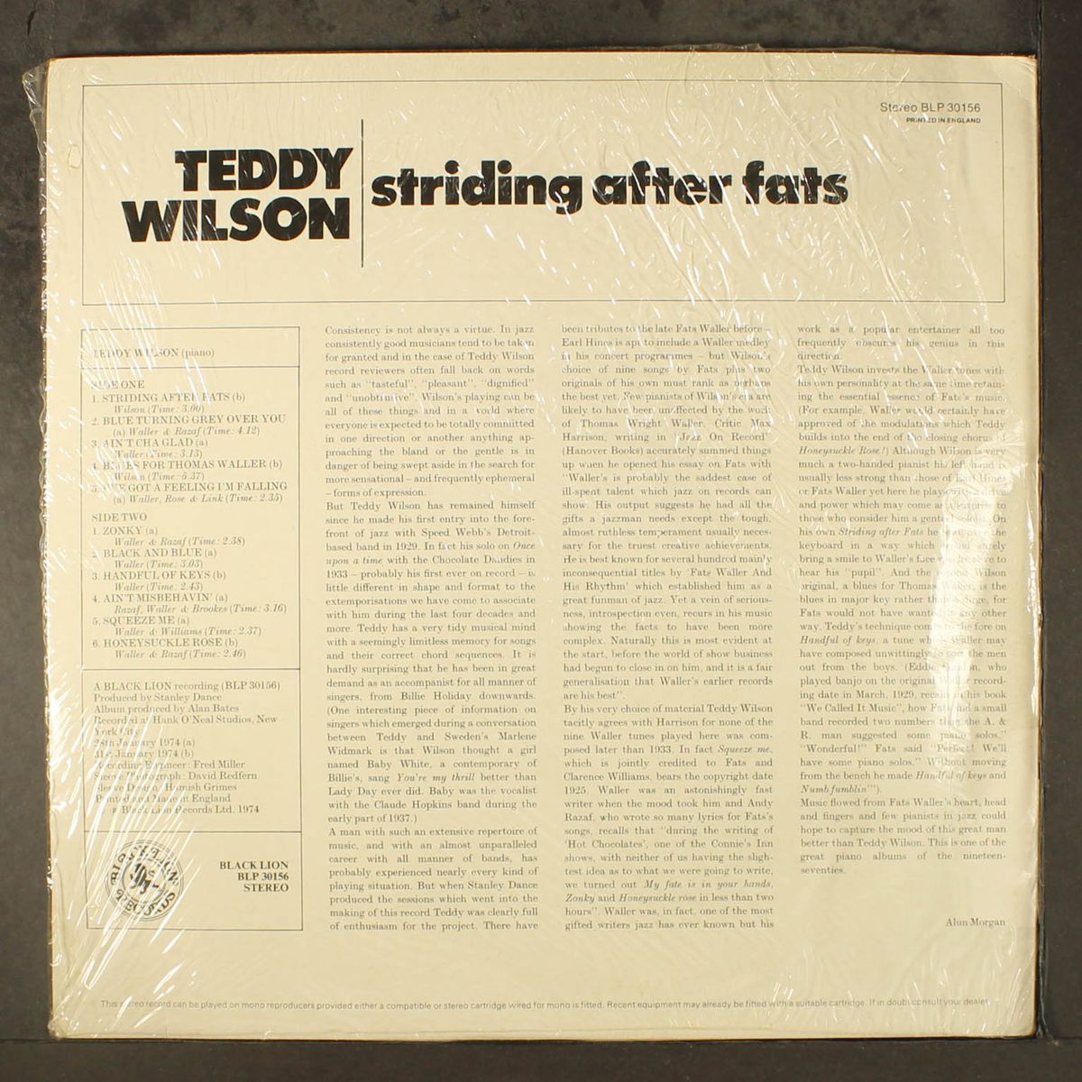 striding after fats by TEDDY WILSON