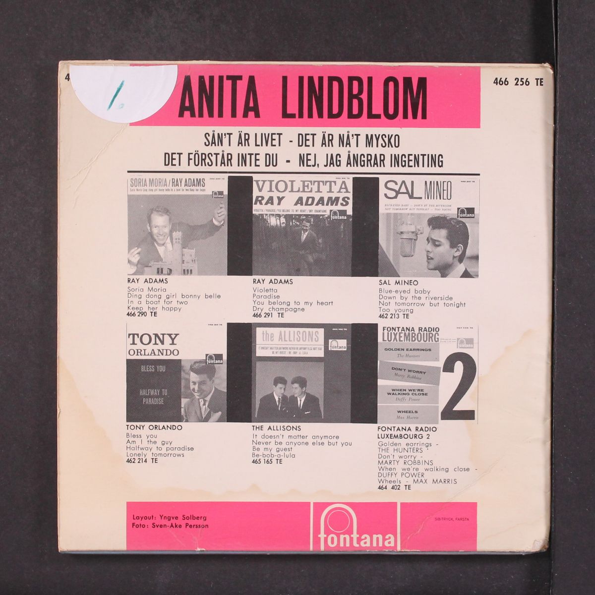 san't ar livet by ANITA LINDBLOM