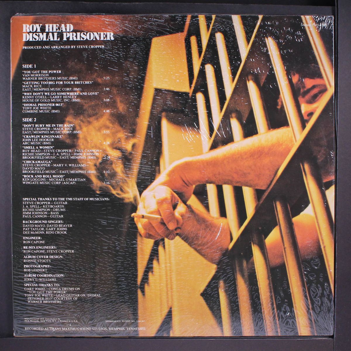 dismal prisoner by ROY HEAD