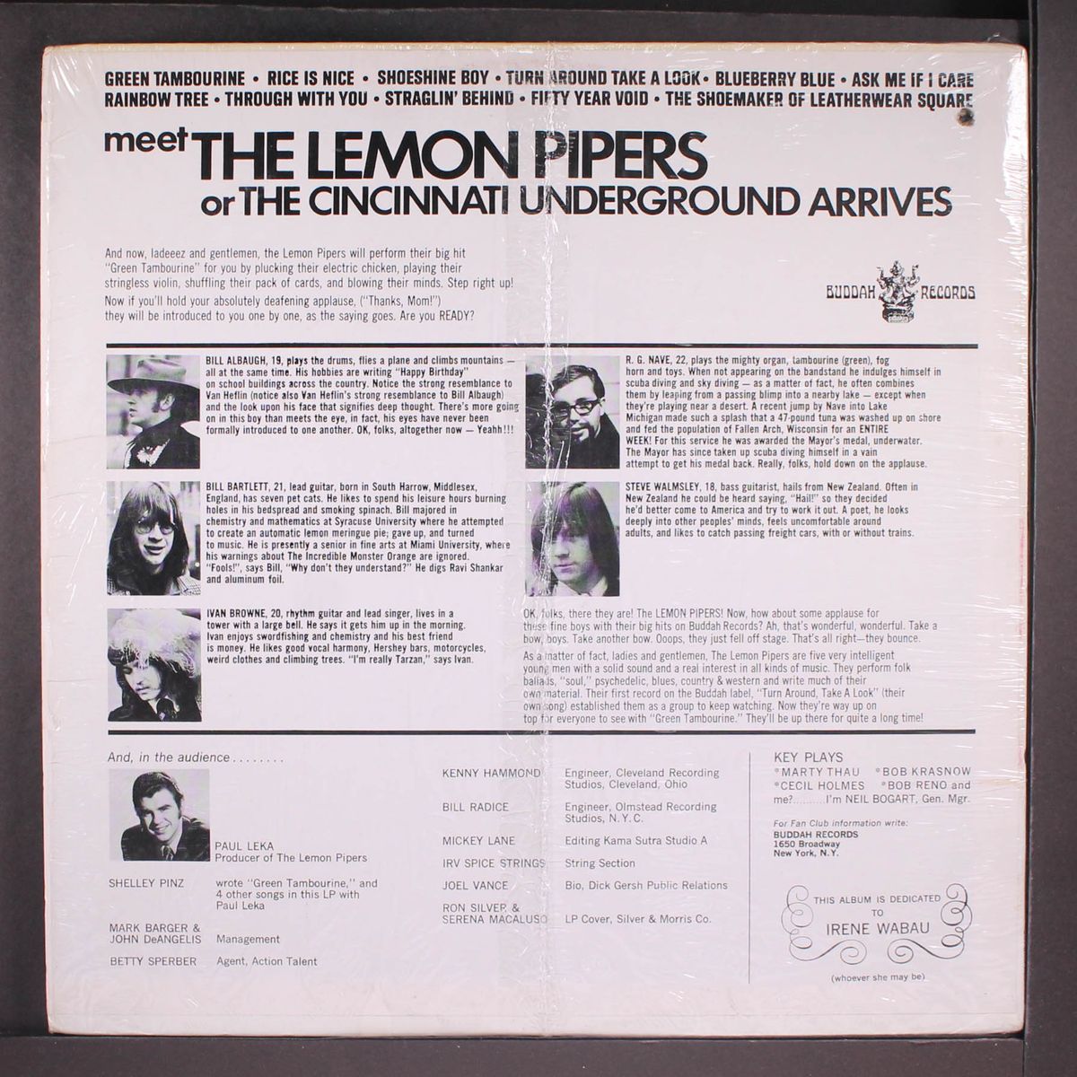 green tambourine by LEMON PIPERS