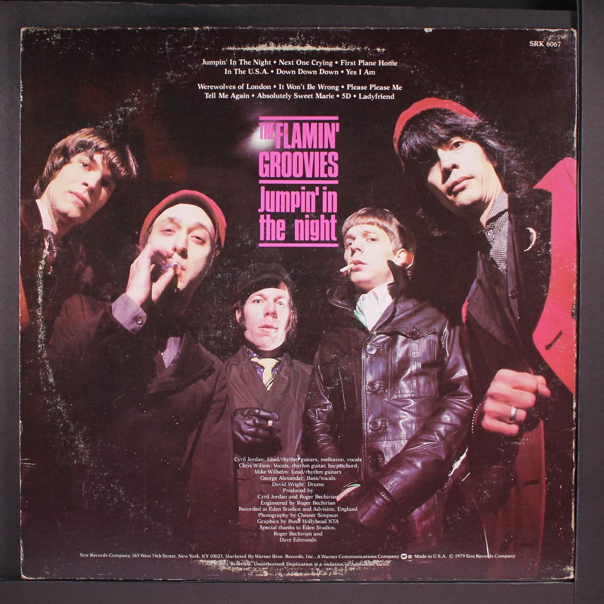 jumpin' in the night by FLAMIN' GROOVIES