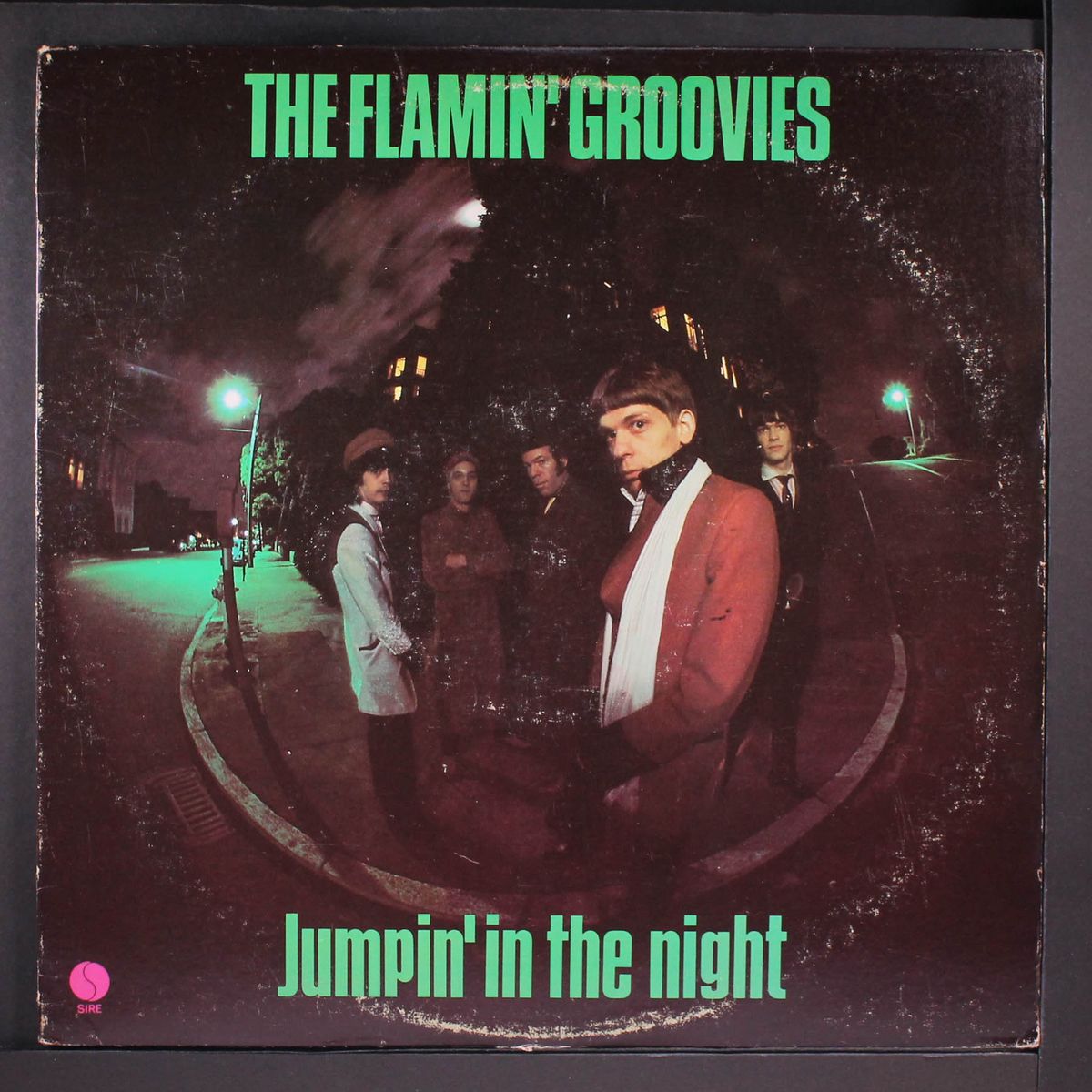 jumpin' in the night by FLAMIN' GROOVIES