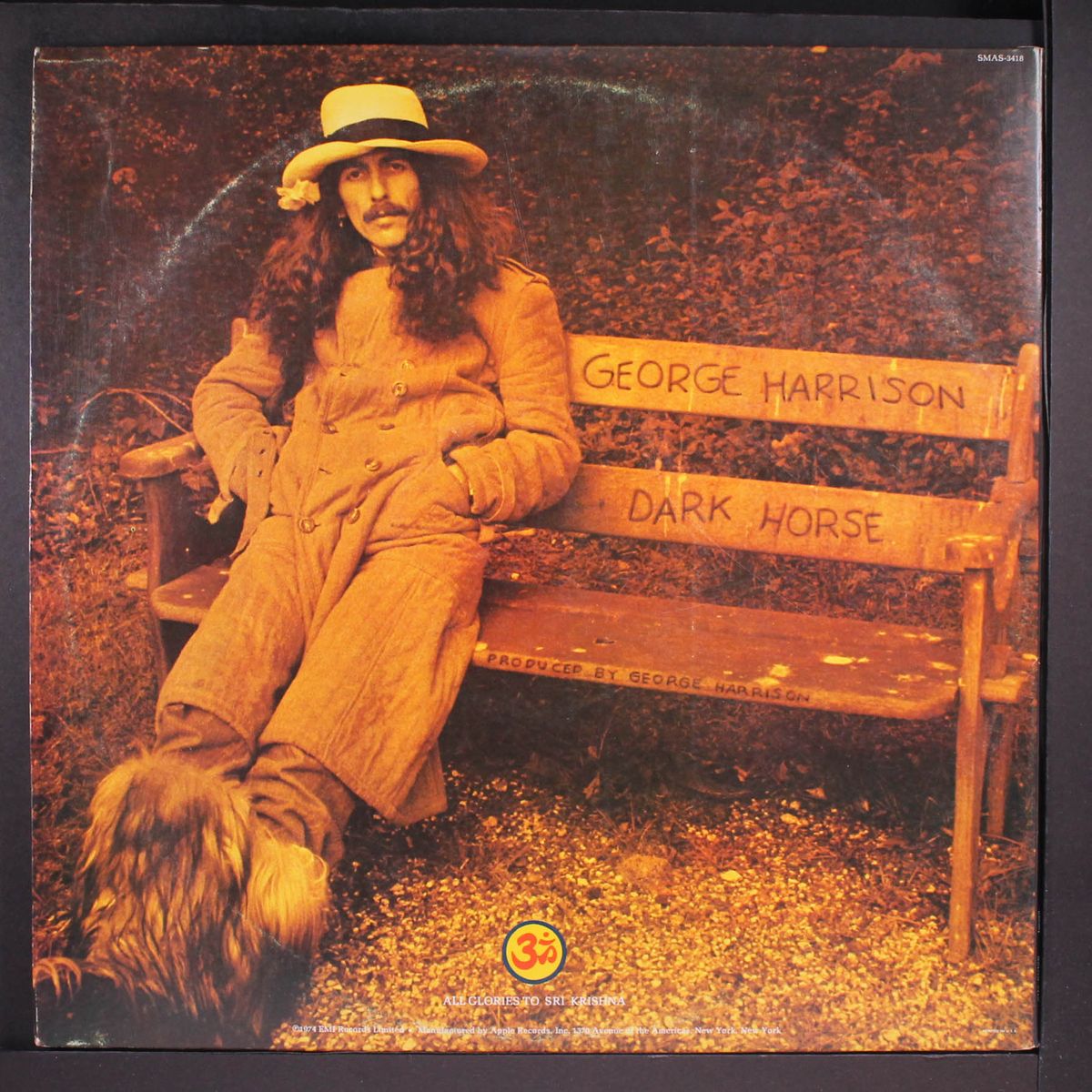 dark horse by GEORGE HARRISON