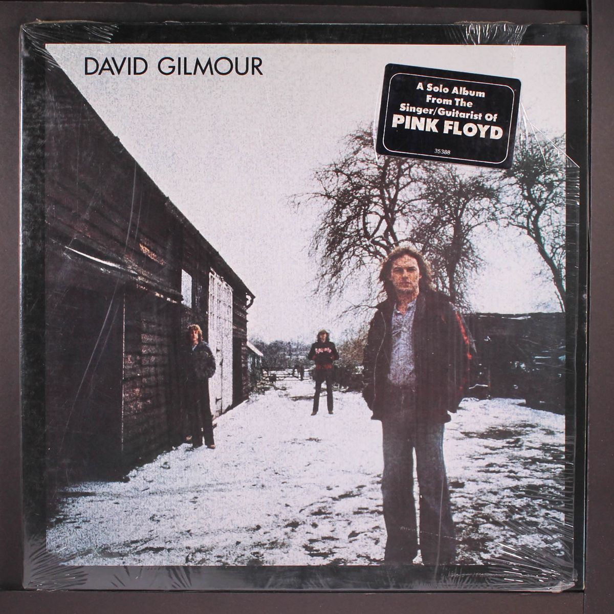 david gilmour by DAVID GILMOUR