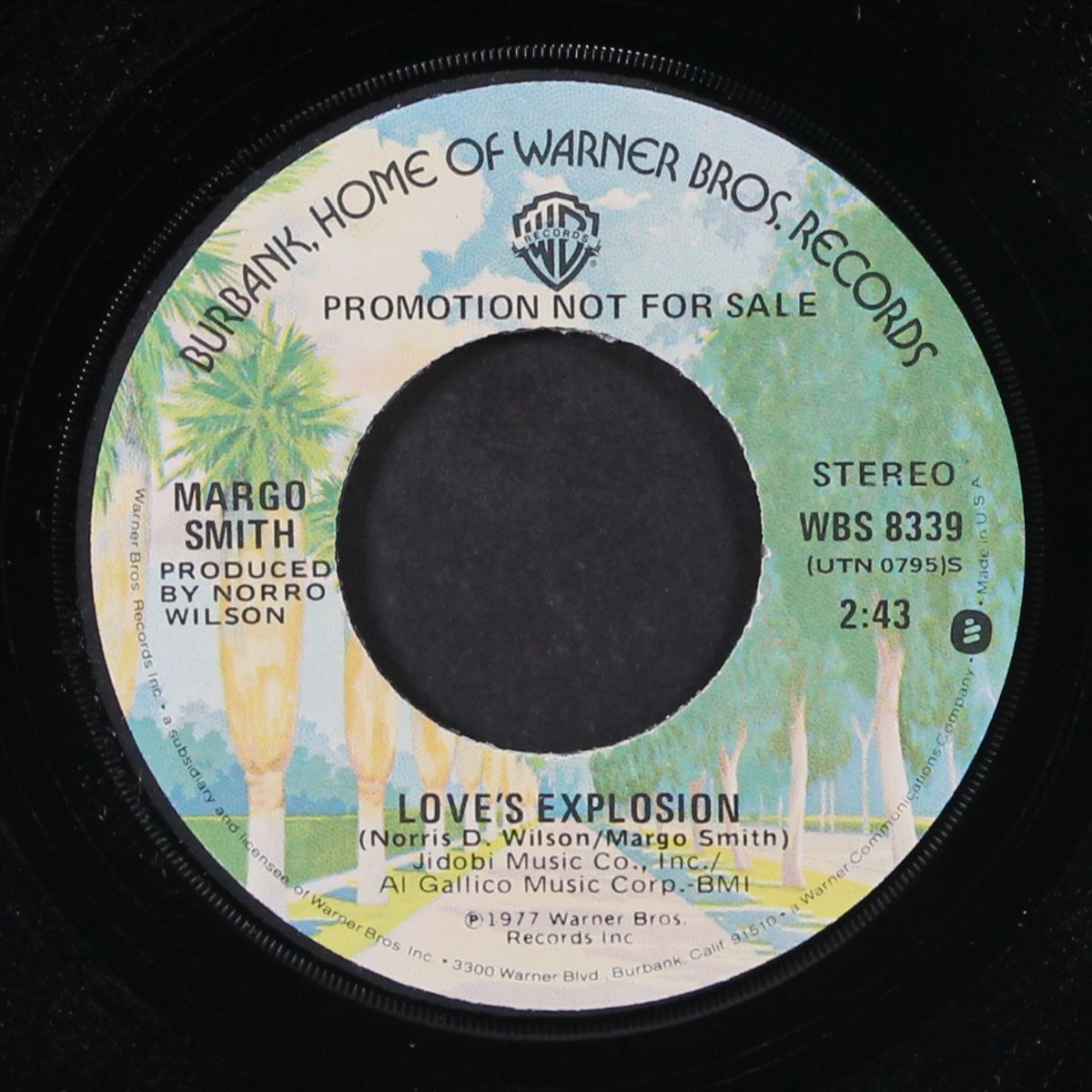 love's explosion / mono by MARGO SMITH
